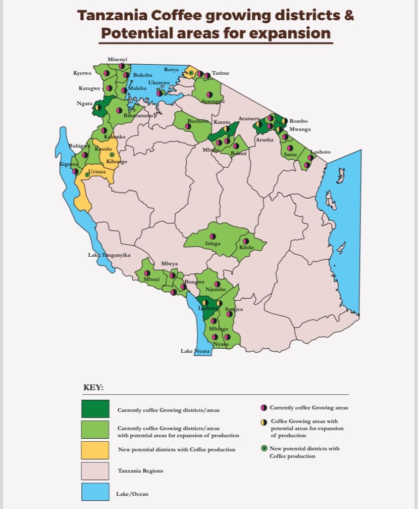 coffee distribution