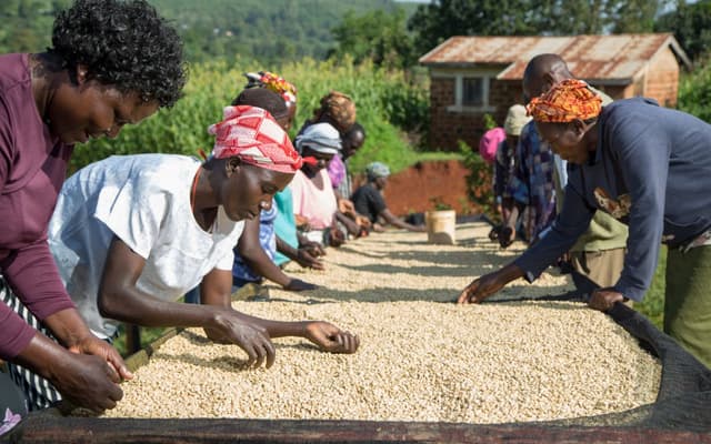 coffee women